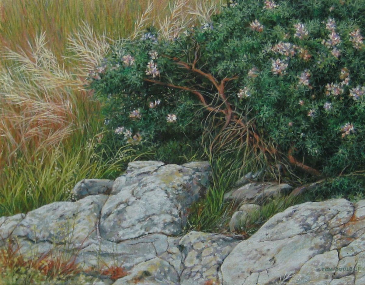 Coastal Garden