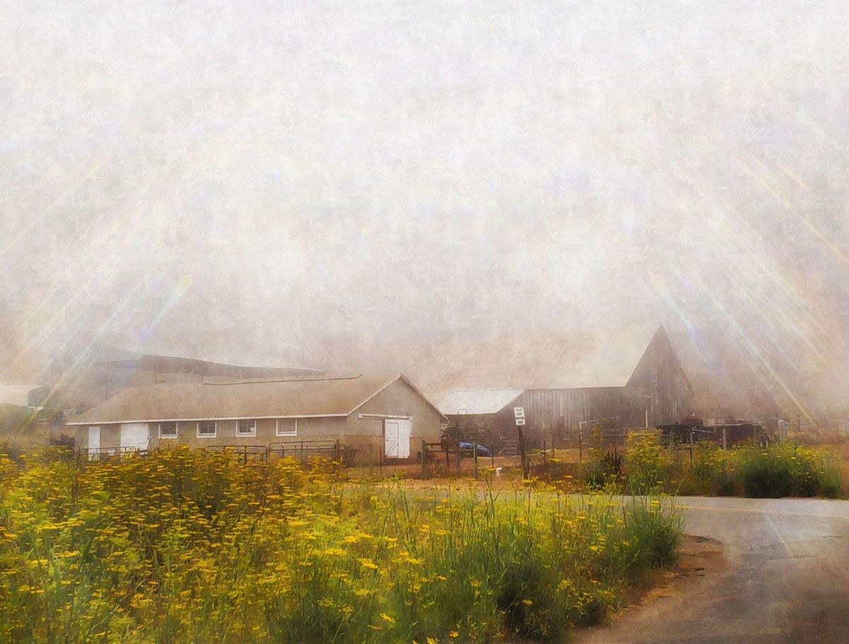 The Barn