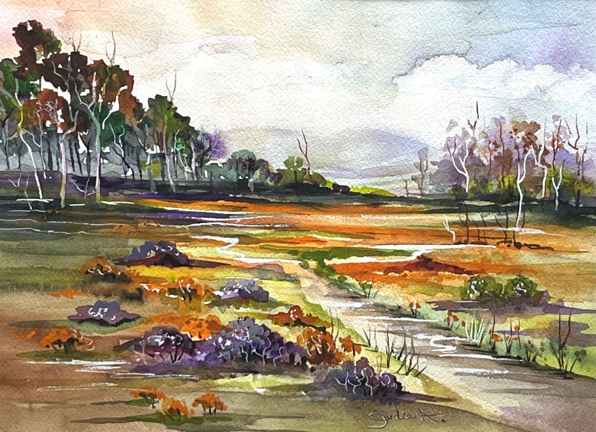 California Poppy Field