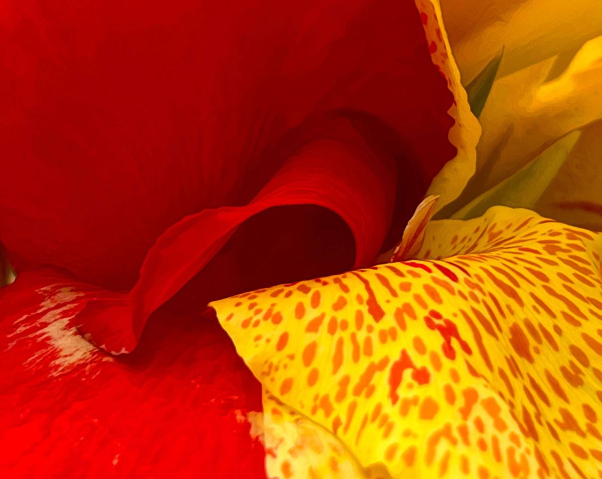 Sinuosity