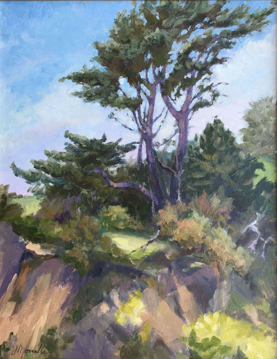 Pico Creek Tree on a Ledge
