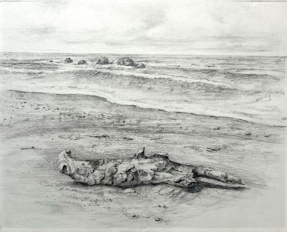 Driftwood on Moonstone