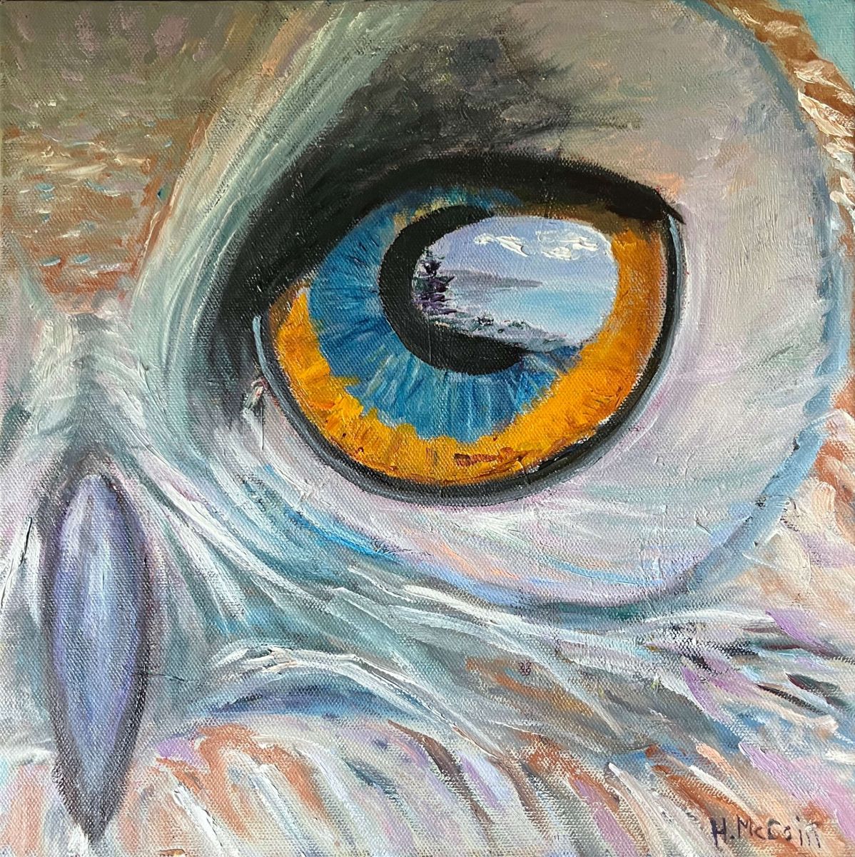 What the Owl Sees