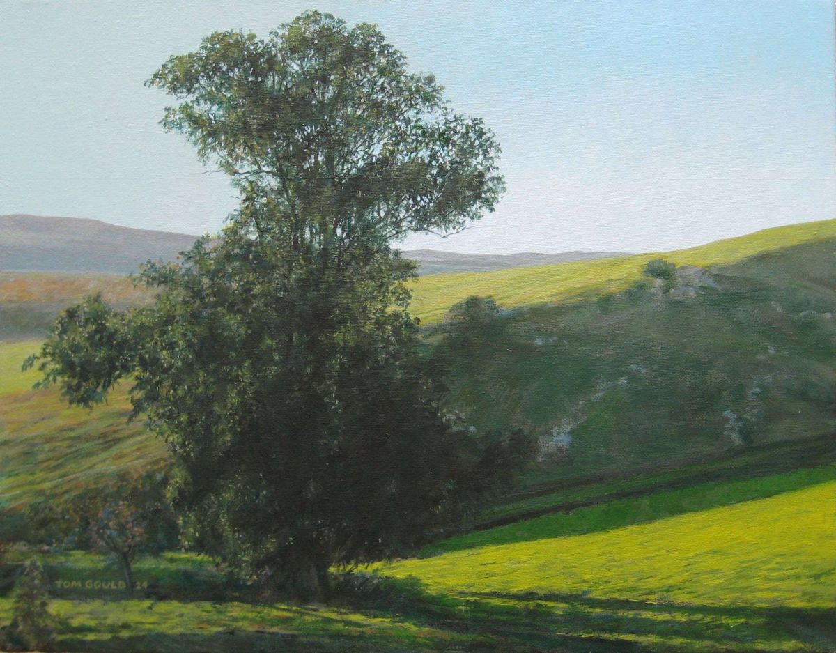 Harmony Valley