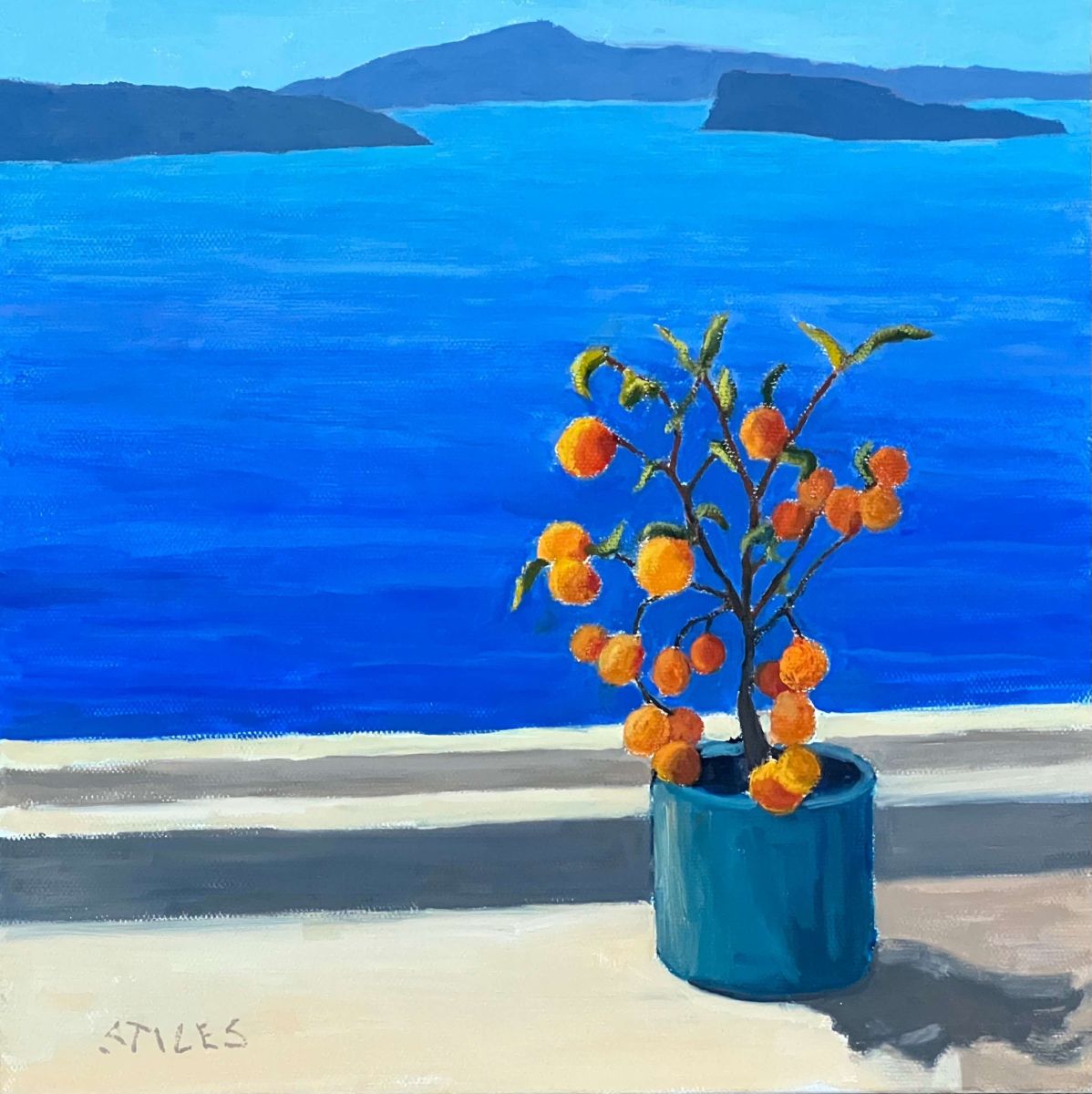 The View from Santorini