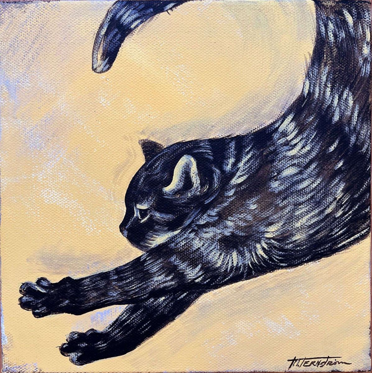 Super Cat