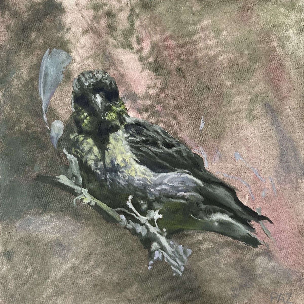 Spaciousness of a Lesser Goldfinch