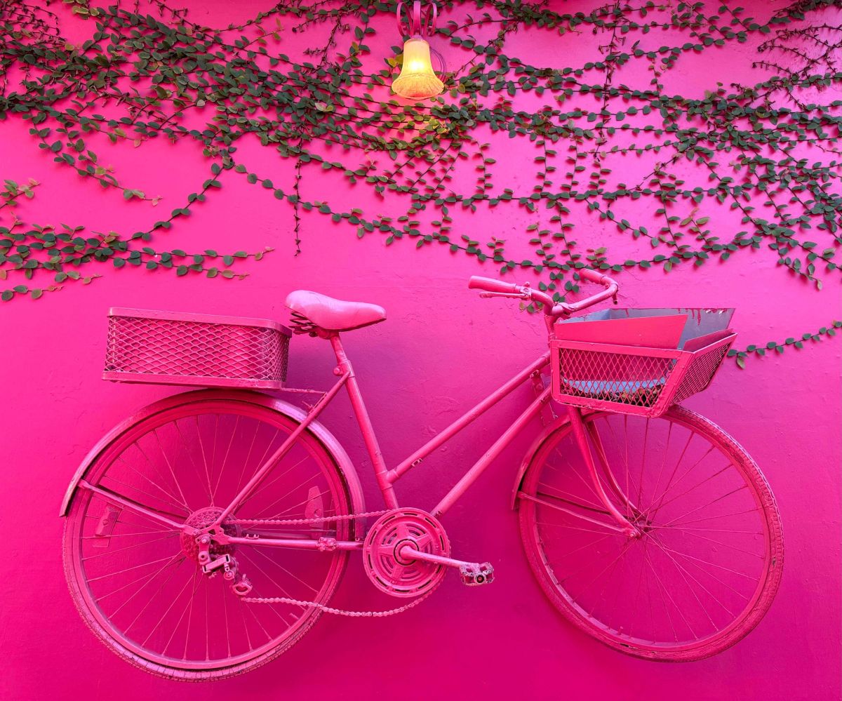 Pink Bike