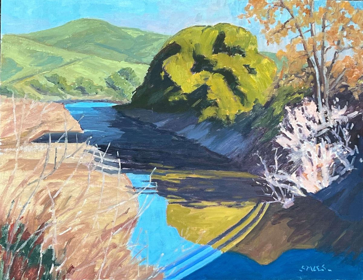 Sunny Day at the Creek