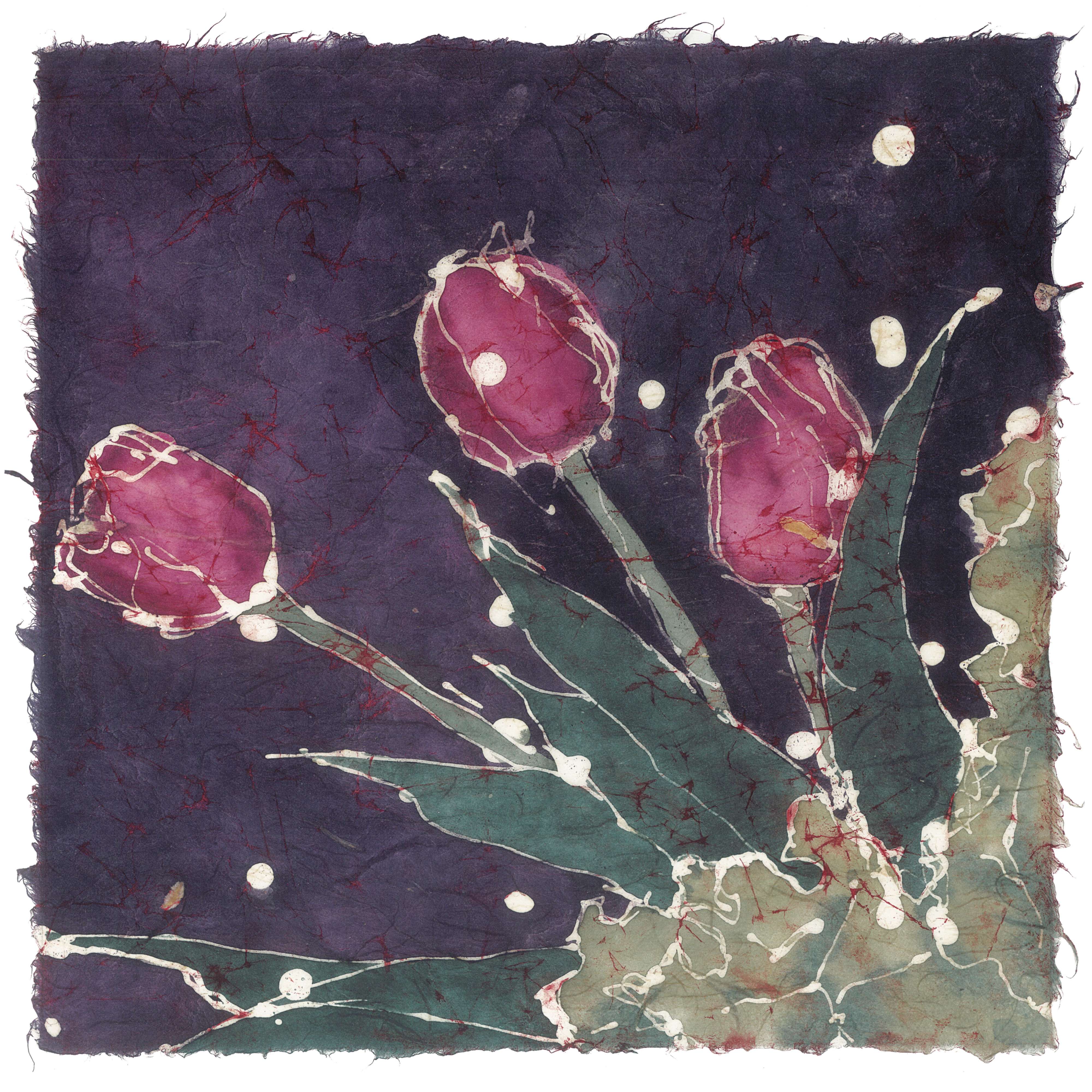 Plum Tulips