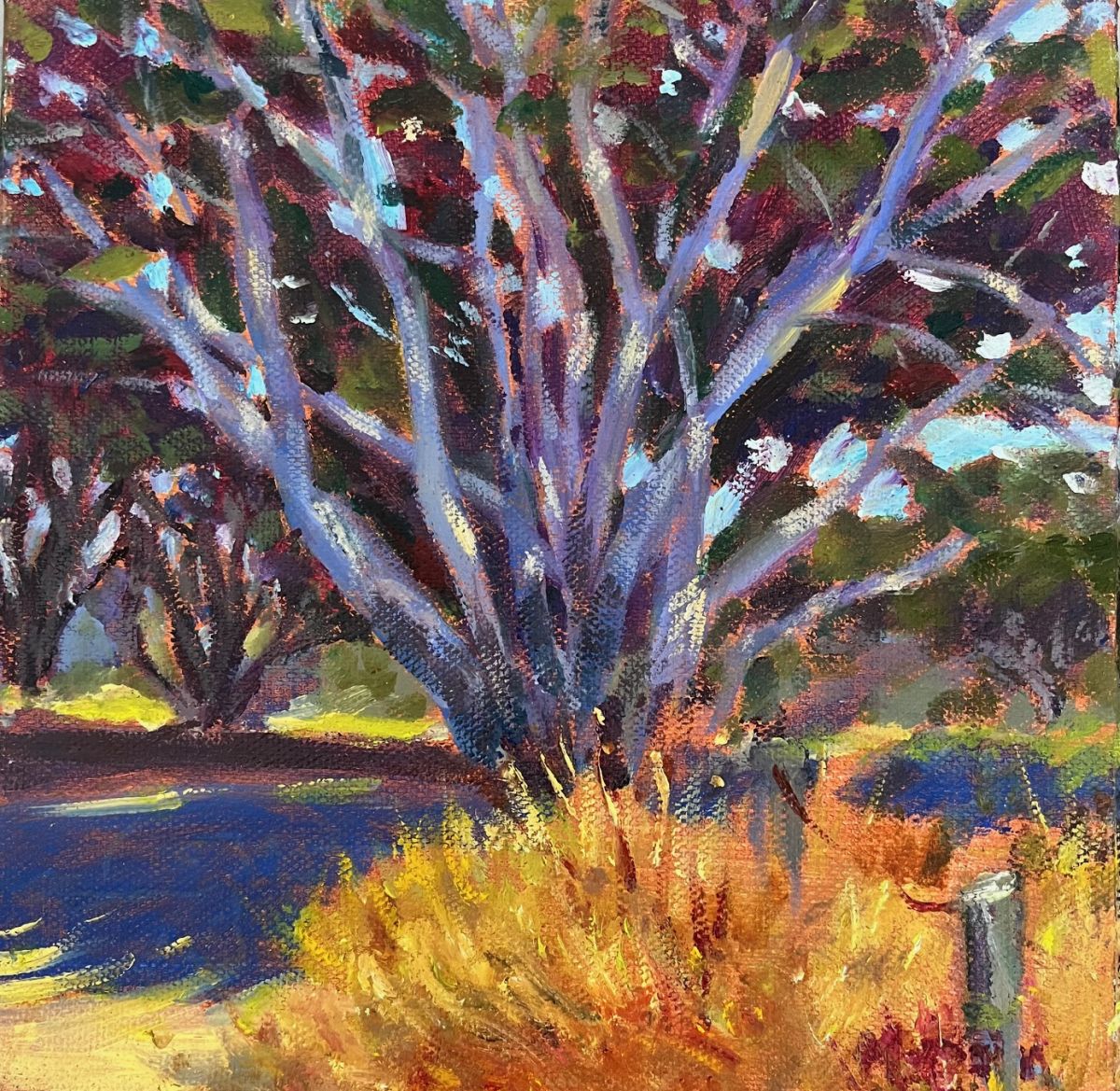 Tree at Exotics