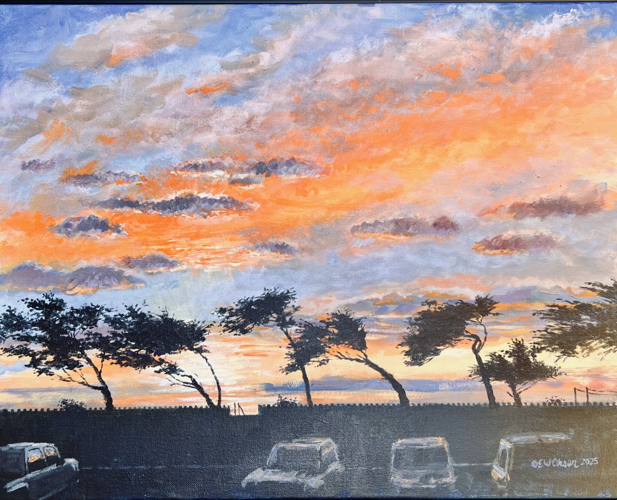 Sunset at Shamel Park