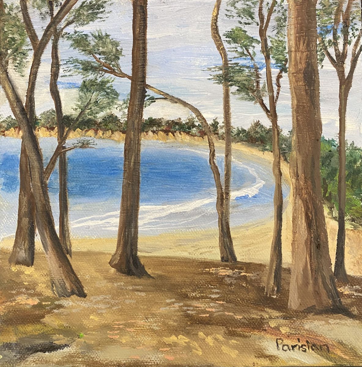 Quiet at the Cove - San Simeon