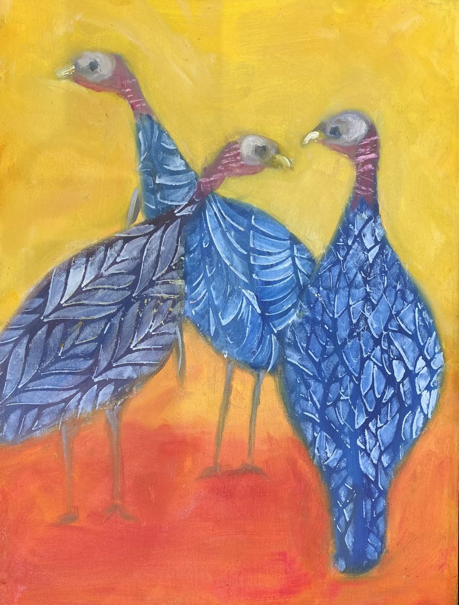Turkey Chicks