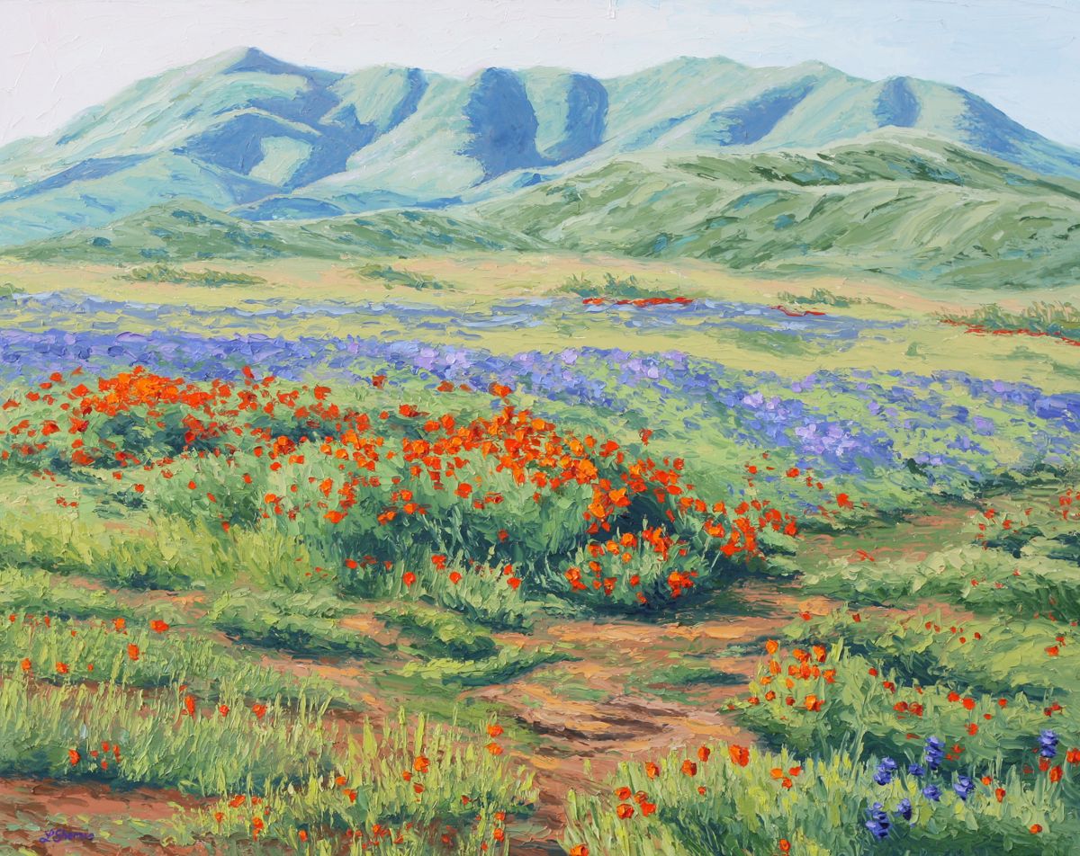 Carrizo, Washburn Wildflowers II